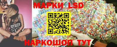 PSILOCYBIN Владимир