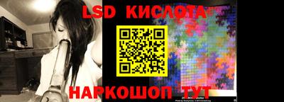 PSILOCYBIN Владимир