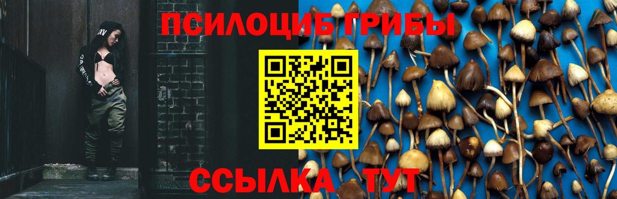 закладка  Вход с VPN  Кольчугино  Галлюциногенные грибы Psilocybe  Псилоцибиновые грибы ЛСД 